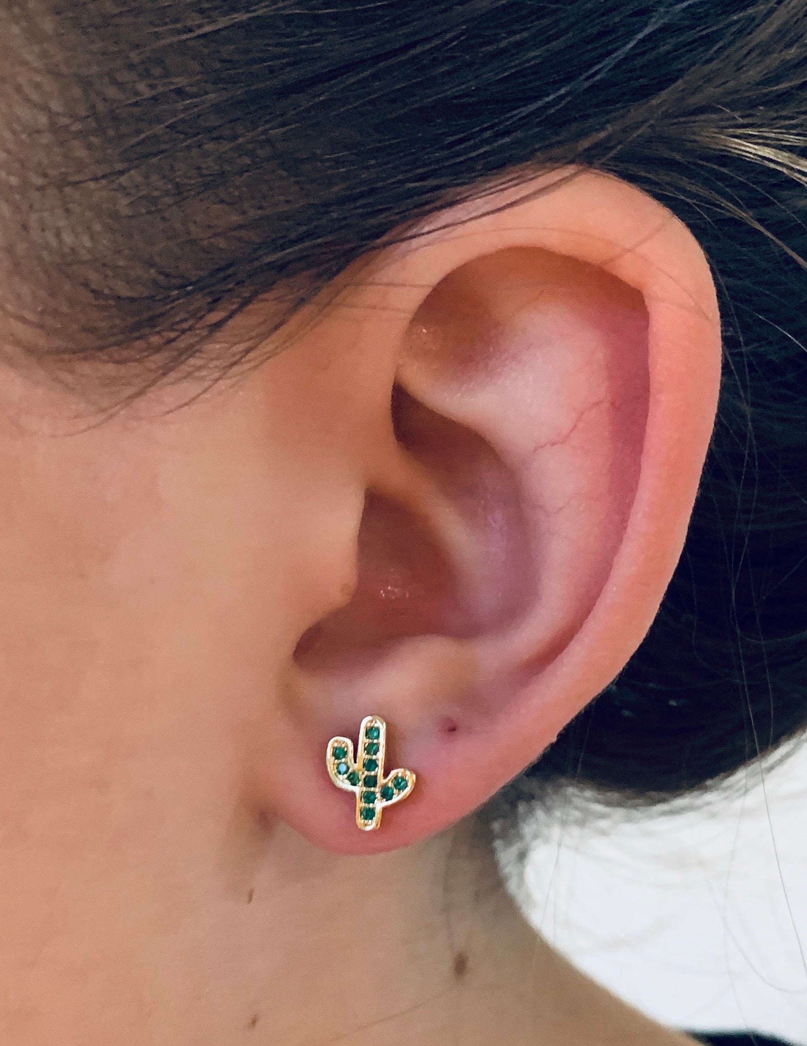 Aretes Broquel Cactus