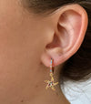 Huggie sea star