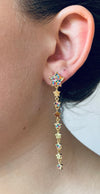 Star Zirconia